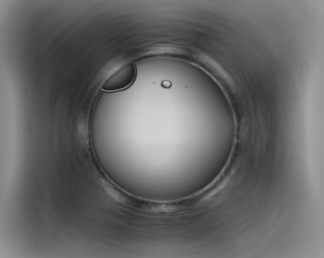 X0000115621321200911171308