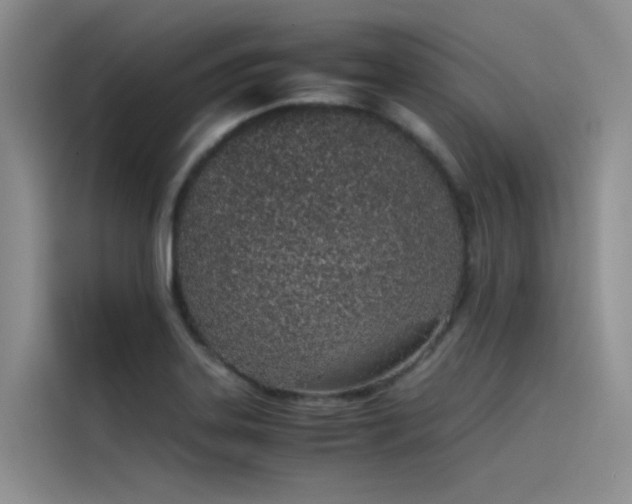 X0000115621323200911171308