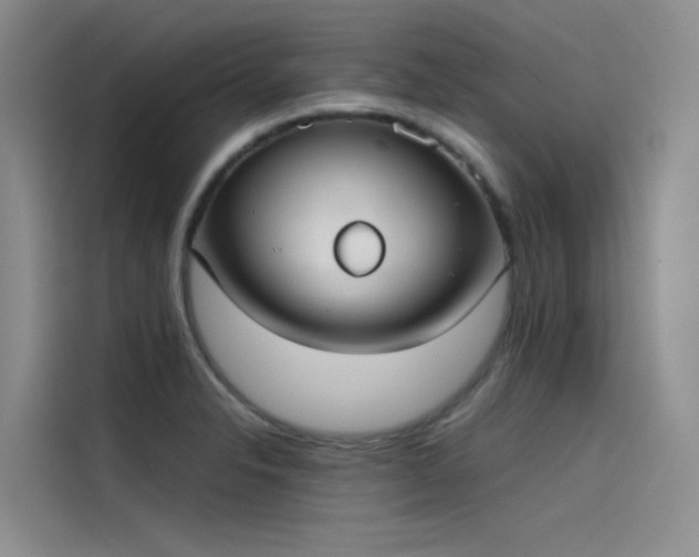 X0000115621326200911171308