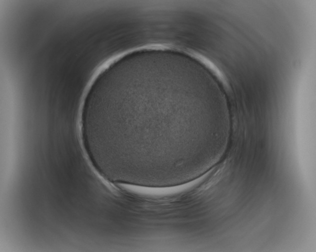 X0000115621327200911171308