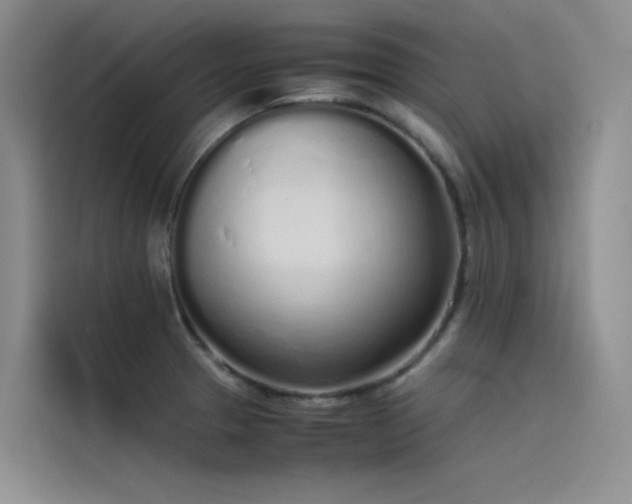 X0000115621329200911171308