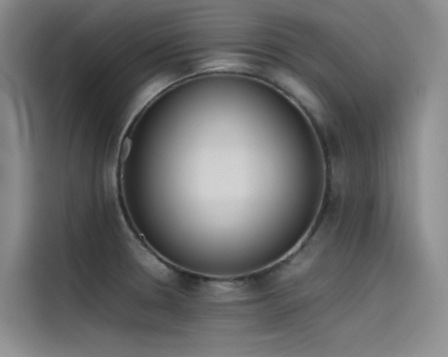 X0000115621330200911171308