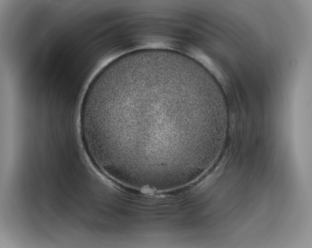 X0000115621331200911171308