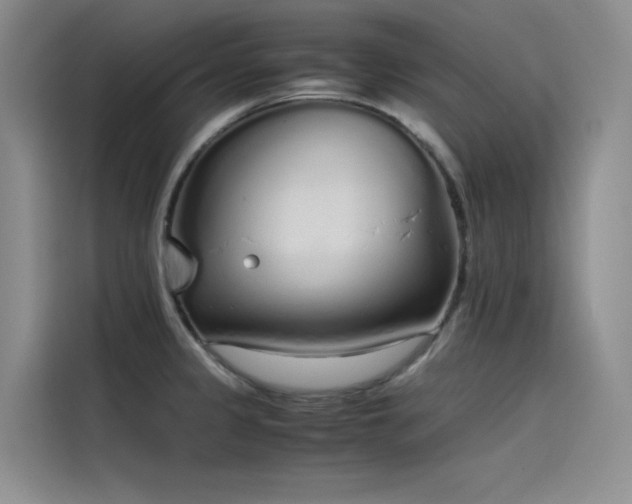 X0000115621333200911171308