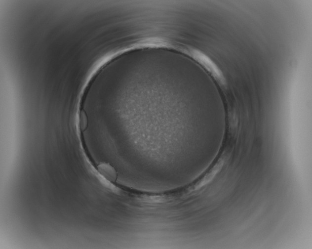 X0000115621334200911171308