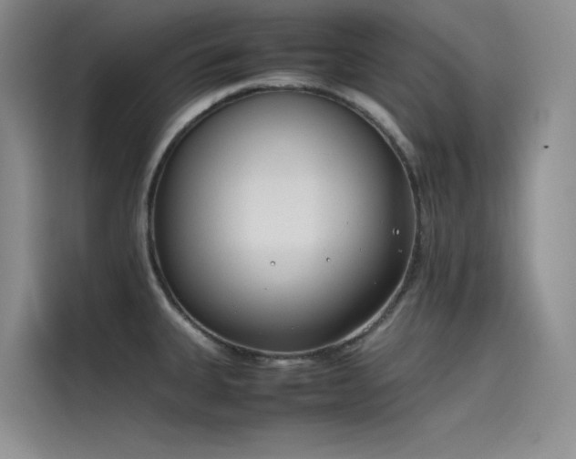 X0000115621335200911171308