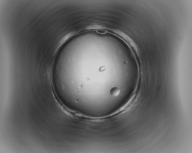 X0000115621337200911171308