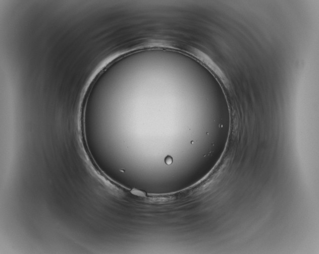 X0000115621339200911171308