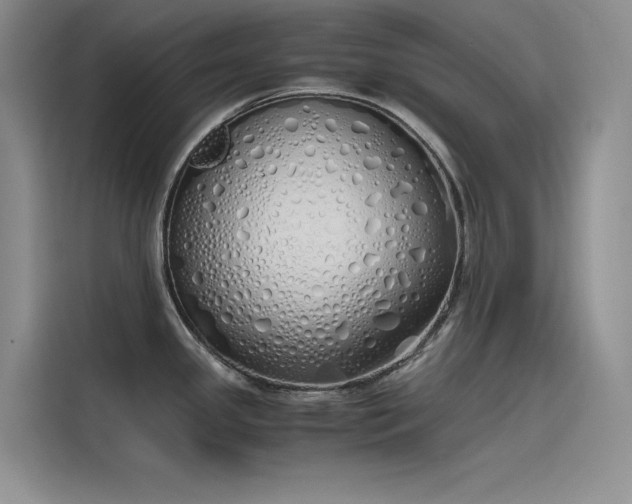 X0000115621341200911171308