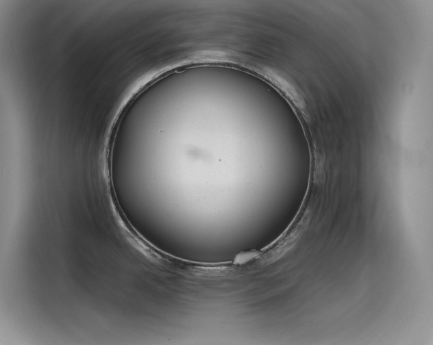 X0000115621342200911171308