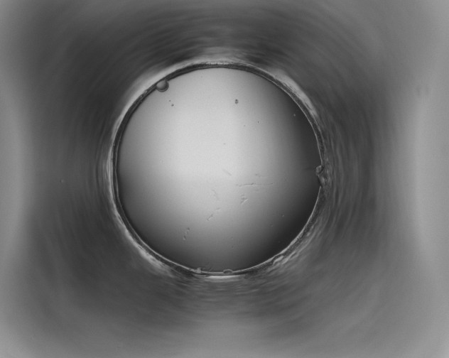 X0000115621343200911171308