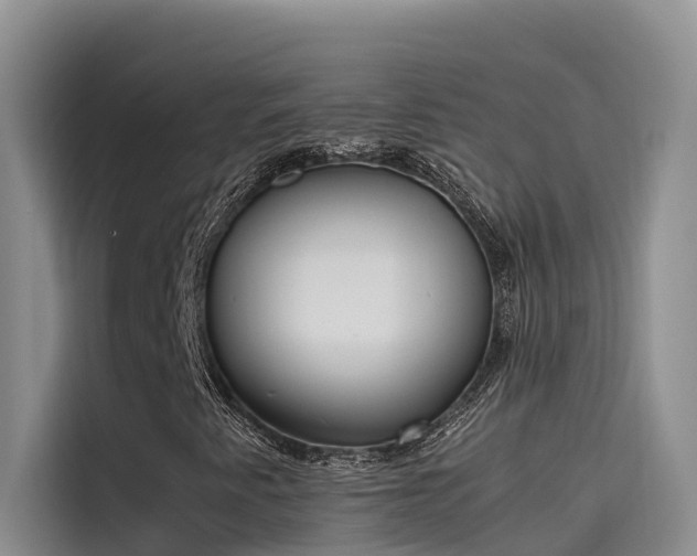 X0000115621345200911171308