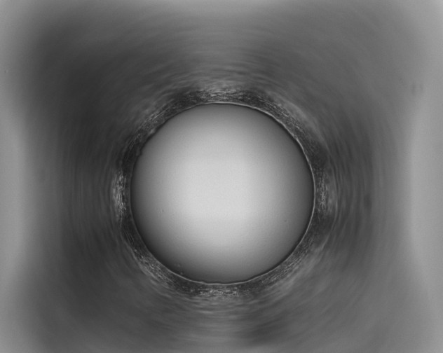 X0000115621346200911171307