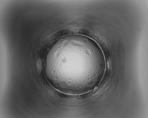 X0000115621347200911171307