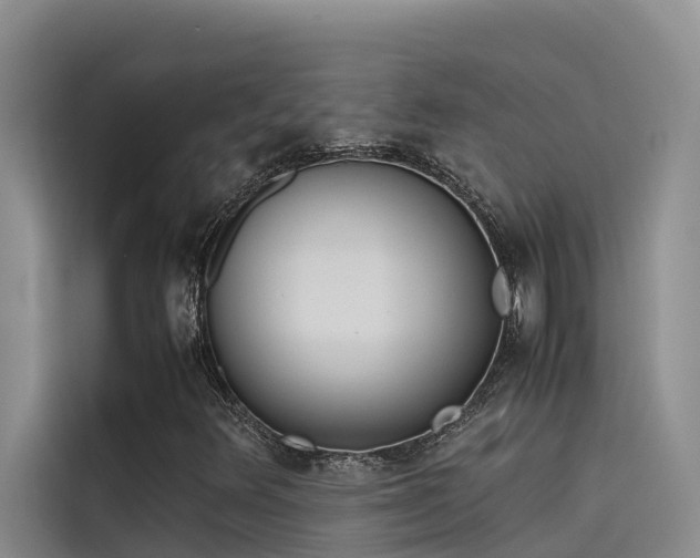 X0000115621348200911171307