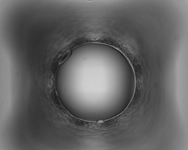 X0000115621349200911171307