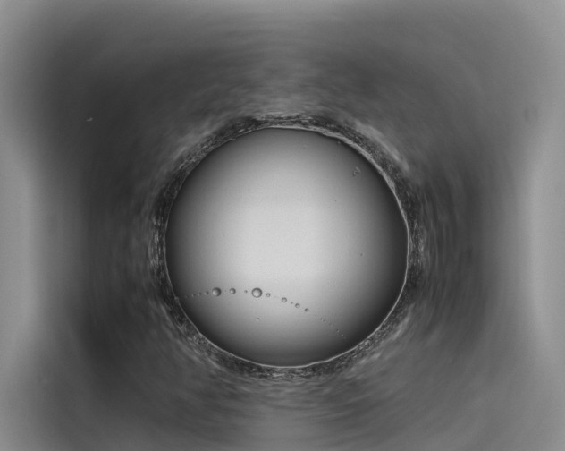 X0000115621350200911171307