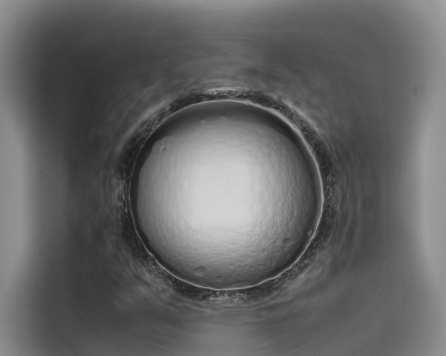 X0000115621351200911171307