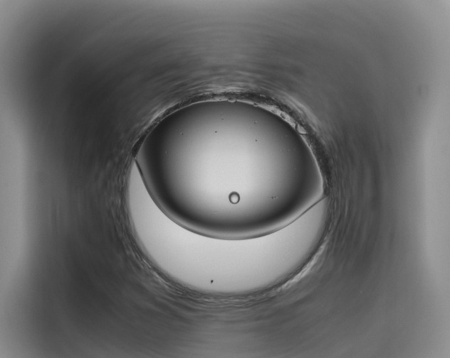 X0000115621353200911171307