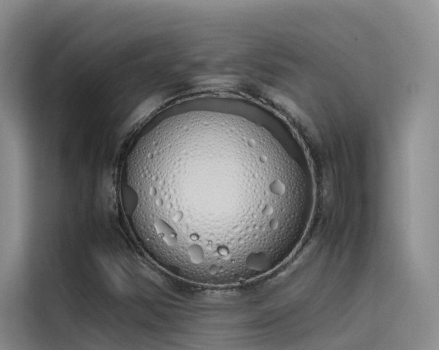 X0000115621354200911171307