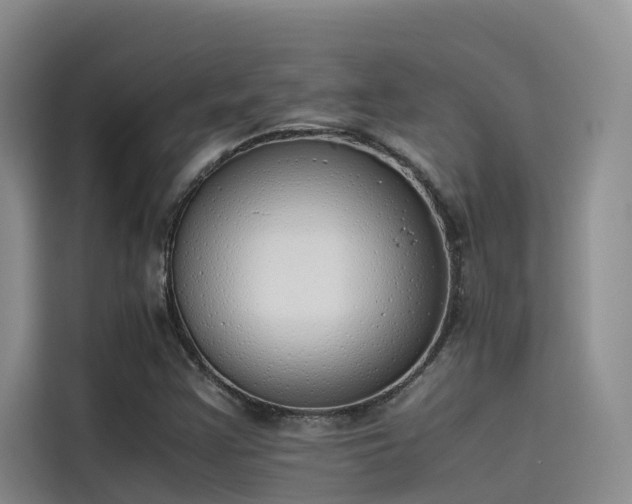 X0000115621355200911171307