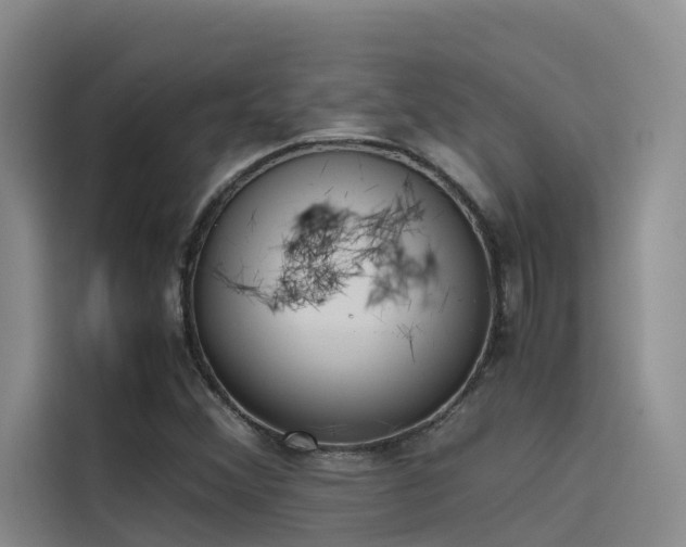 X0000115621356200911171307