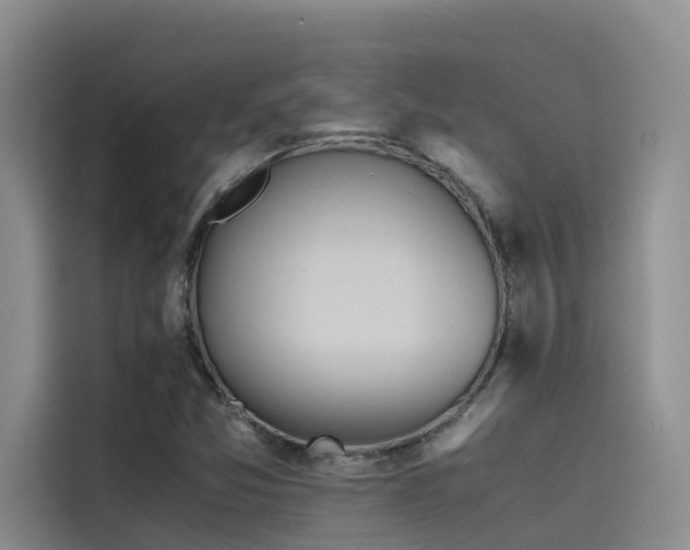 X0000115621357200911171307