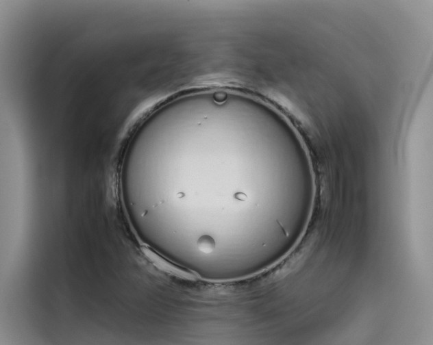 X0000115621358200911171307