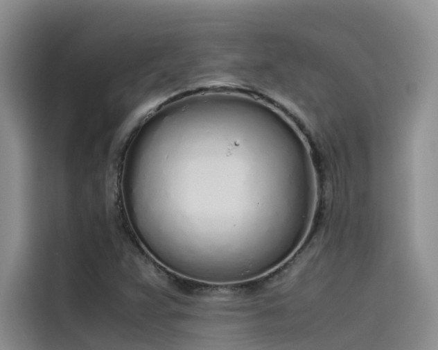 X0000115621359200911171307