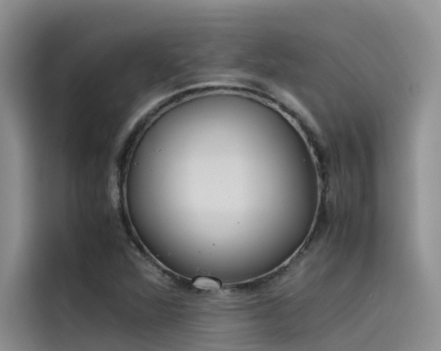 X0000115621360200911171307