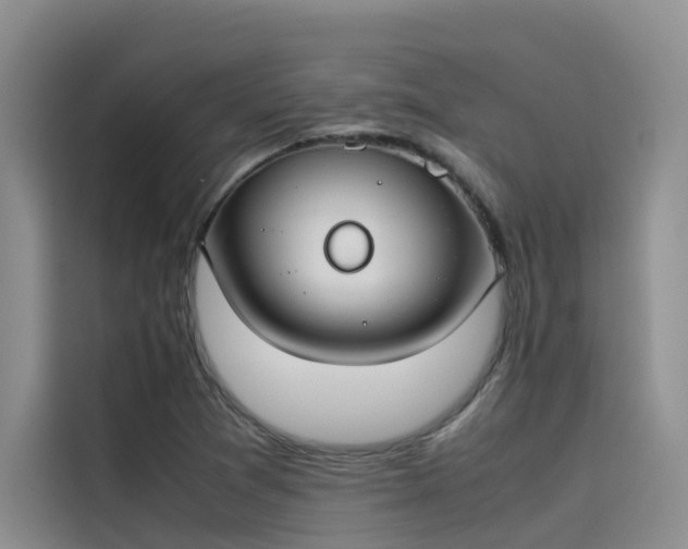 X0000115621361200911171307