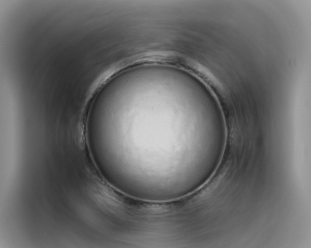 X0000115621362200911171307