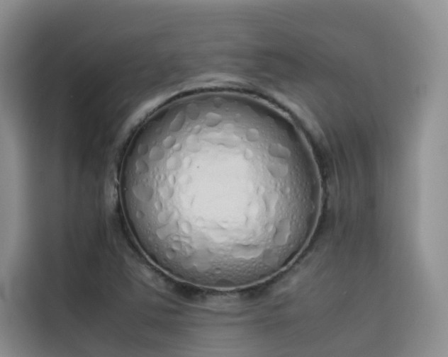 X0000115621363200911171307