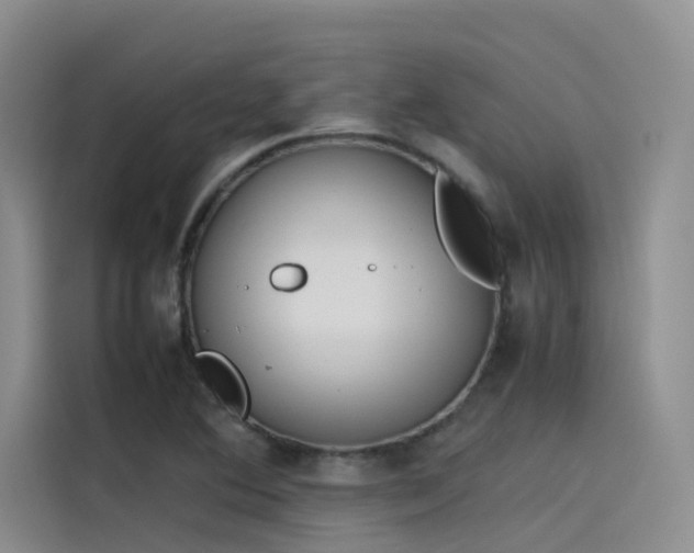 X0000115621364200911171307