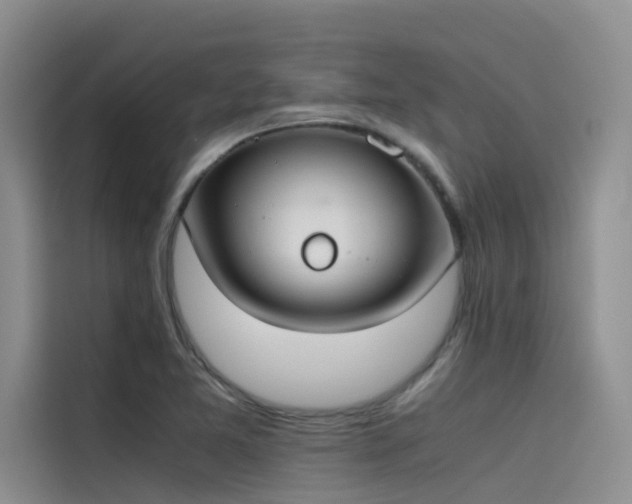 X0000115621365200911171307