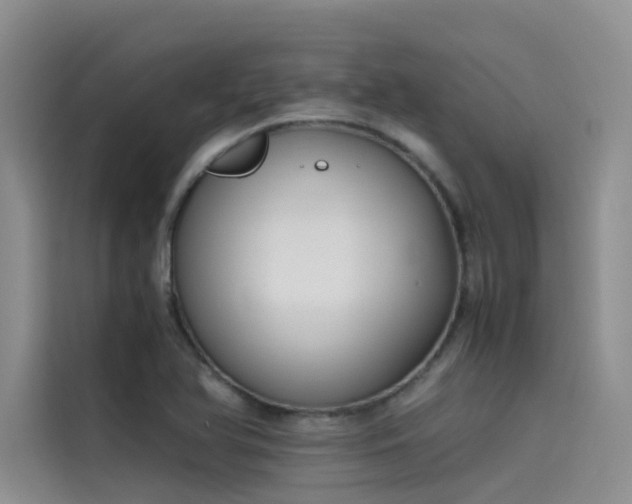 X0000115621366200911171307