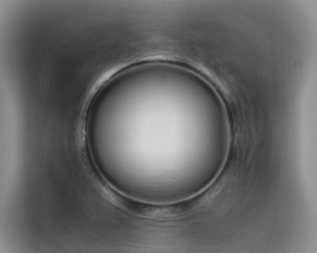 X0000115621367200911171307