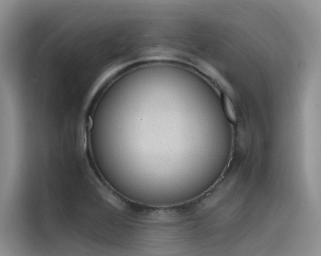 X0000115621368200911171307