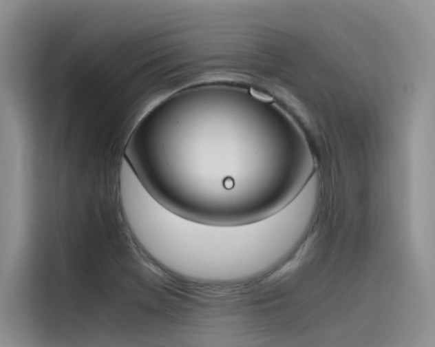 X0000115621369200911171307