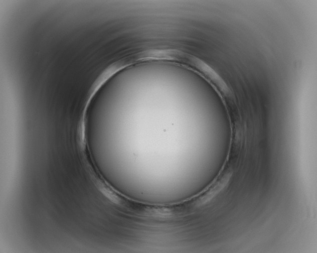 X0000115621370200911171307