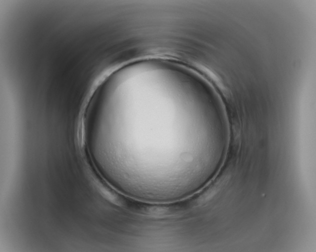 X0000115621371200911171307