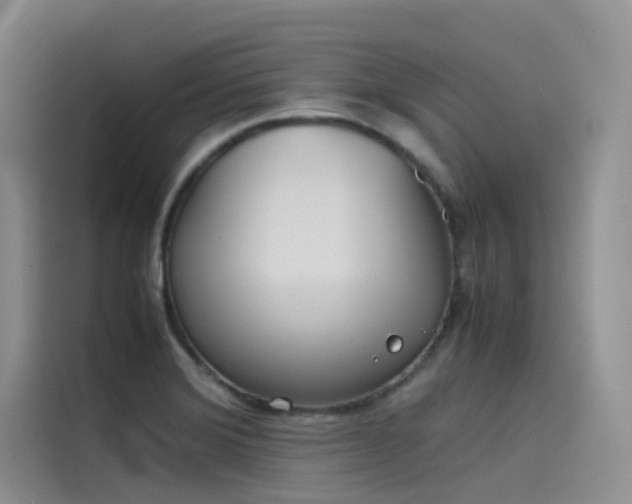 X0000115621372200911171307