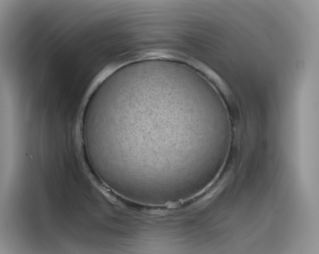 X0000115621373200911171307