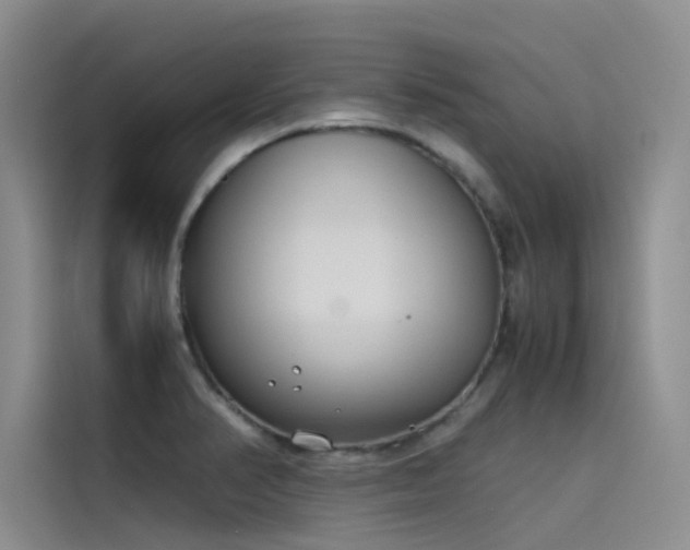 X0000115621374200911171307