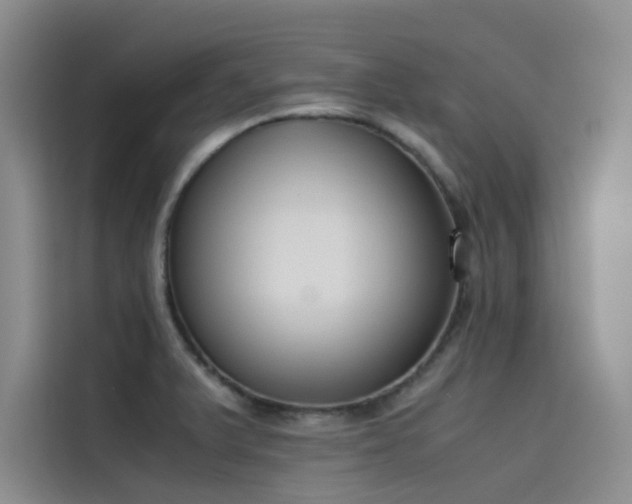 X0000115621375200911171307