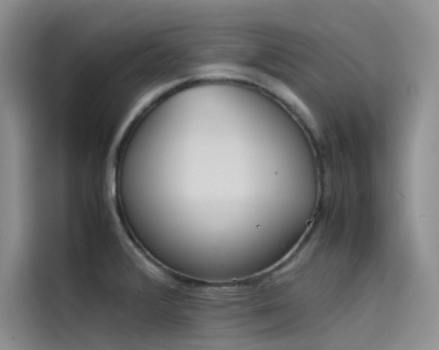 X0000115621376200911171307