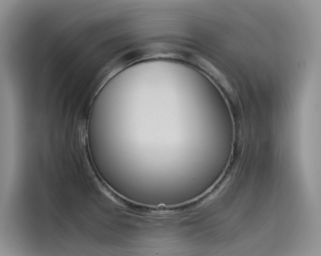 X0000115621377200911171307