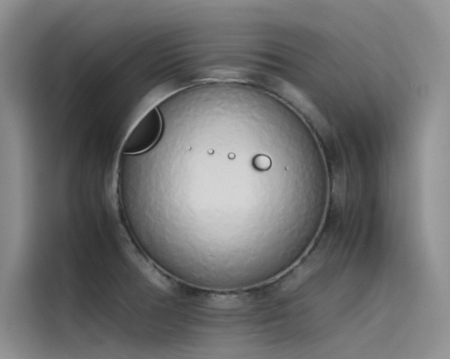 X0000115621378200911171307