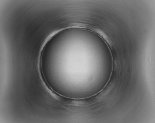 X0000115621379200911171307