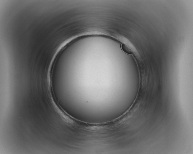 X0000115621380200911171307